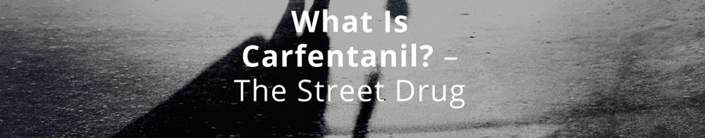 The Dangers of Carfentanil