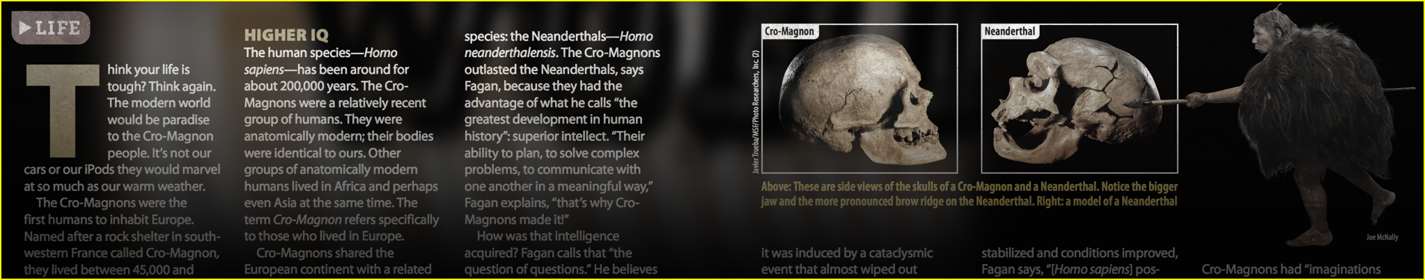 Survivor - Cro-Magnon societies