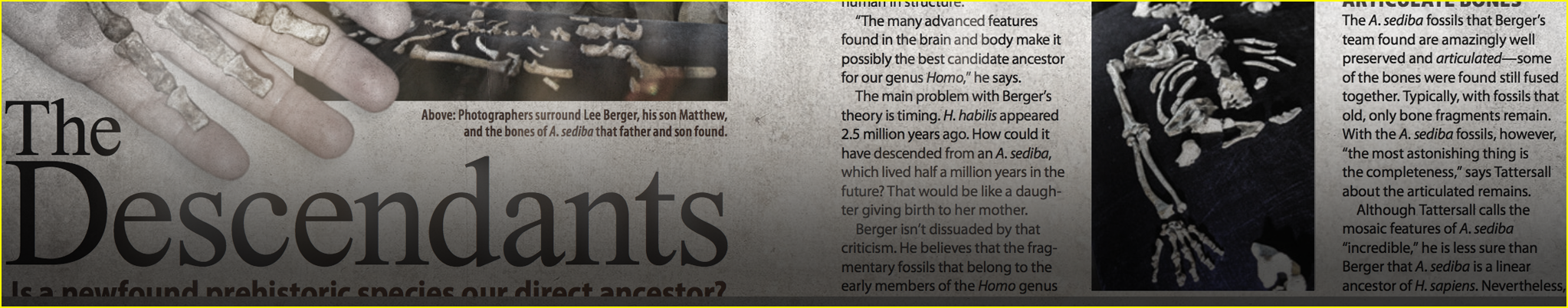The Descendants - sediba fossil
