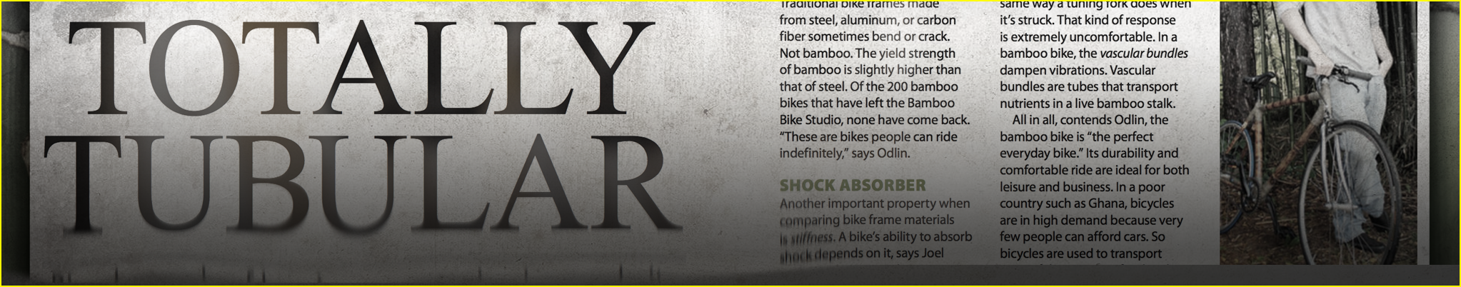 Totally Tubular - bamboo bikes